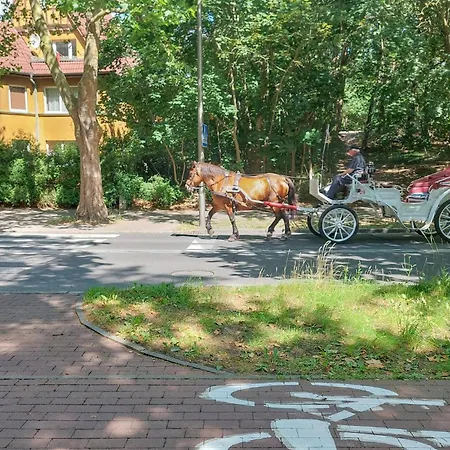 Dom wakacyjny Piękny Dom W świnoujściu Z Wifi *