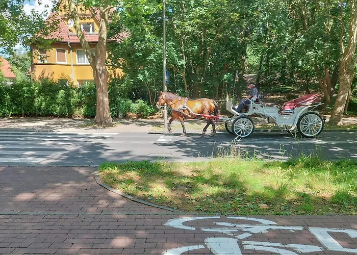 Vakantiehuis Lovely In With Wifi *